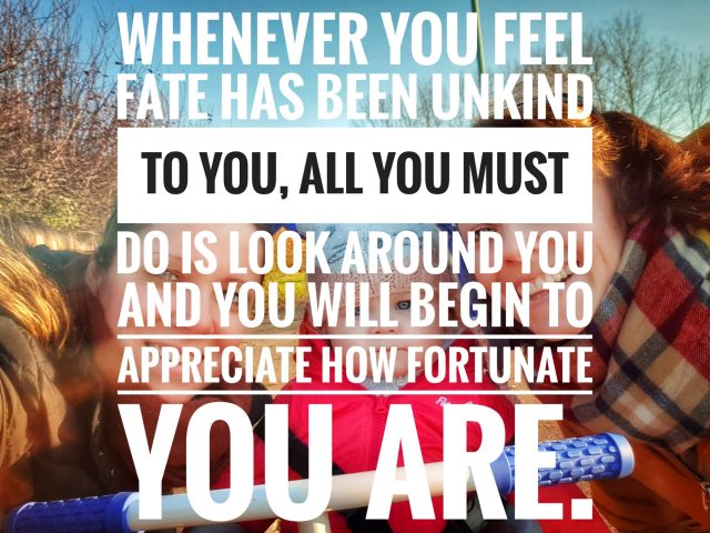 46/365 – Granted